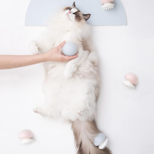 FURRYTAIL Jellyfish Massage Kat Kam Dierenborstel van 2