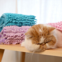Asciugamano da bathroom in fibra di chenille per gatti domestici ad asciugatura rapida morbido e confortevole per cani.