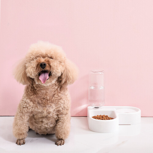 Due in uno dispenser automatico per ciotole d'acqua e cibo per cani e gatti set da angolo 1