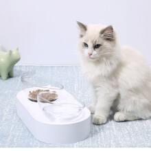 PETKIT Huisdier Kom Voedingsschalen Verstelbare Dubbele Voederkommen Waterbeker Kattenkommen Drinkkom Van