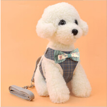 Hondenriem met petstrap voor kleine honden veststijl strik avondjurk borstband voor honden en katten universele hondentrekriem