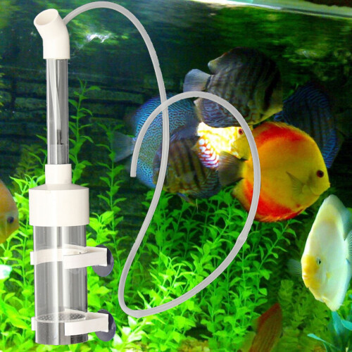 Kit da pesca per acquari trasparenti 1