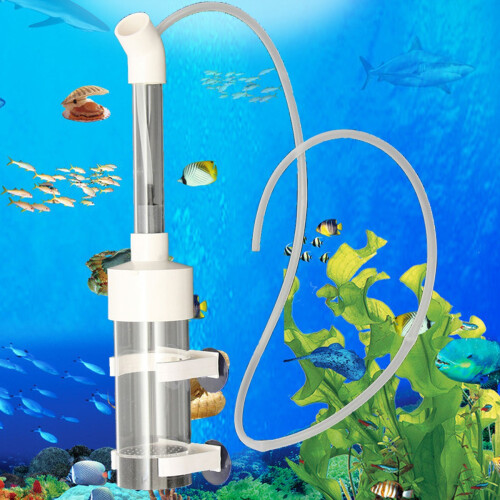 Kit da pesca per acquari trasparenti