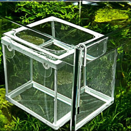 BOYU NB-3201 Allevatore a Rete per Acquario 2