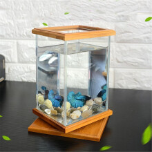 Mini acquario illuminazione LED contenitore in glass trasparente per pesci decorazione da scrivania per ufficio!