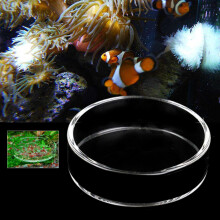 Vassoio per alimentazione di gamberi in glass per acquario trasparente piatto per pesci alimentatore per pesci.