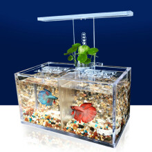 Luce LED Acquario Mini Betta in Acrilico Trasparente con Pompa d'Acqua da Scrivania