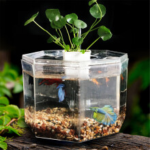 Mini Acquario per Betta in Acrilico Trasparente Scatola di Isolamento per Allevamento Acquario da Scrivania Trasparente Accessori Acquatici Gr