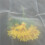 110M 43T Polyester Zijdezeefdruknetstofblad 3 Yards 5