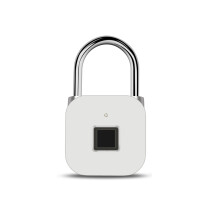 Blocco per impronte digitali USB Smart ricaricabile senza chiave IP66 impermeabile memorizza fino a 39 impronte digitali per porte bagagli e lu