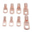 SC6-SC25 60Pcs Terminale ad Anello Nudo con Scatola 6