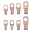 SC6-SC25 60Pcs Terminale ad Anello Nudo con Scatola 5