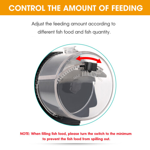 Distributore automatico di cibo per pesci con timer regolabile per acquario alimentazione automatica 2