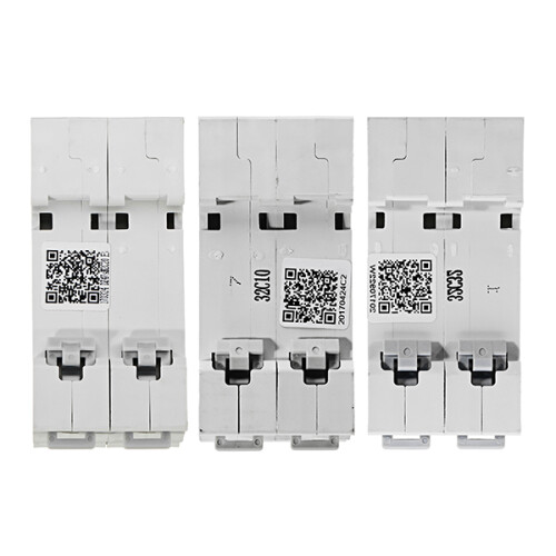 Delixi DZ47S-2P/c AC 400V 10/20/32A 2P Interruttore aereo in plastic Mini interruttore automatico 2