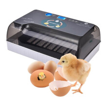 110/220V Intelligente Eieren Incubator Digitale Volledig Automatische Broedincubator 12 Posities