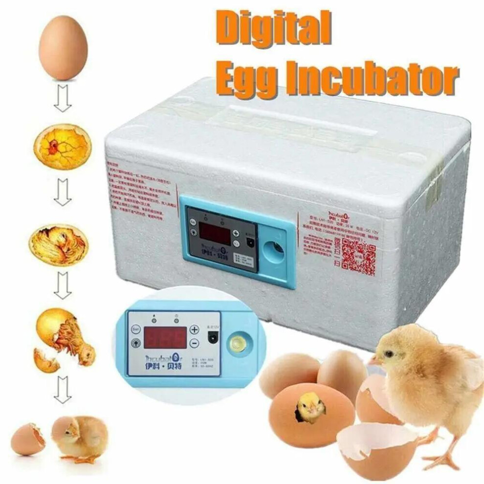 (as the picture) Automatic Digital Incubator Poultry Hatcher Temperature Control Brooder 20 Eggs
