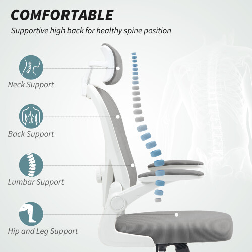 Homcom HOMCOM Ergonomic Mesh Office Chair with Headrest, Lumbar Support, Grey 1
