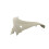 Ford Focus 2005-2008 Front Wing Driver Side Right Does Not Fit ST Models 5