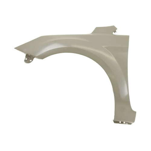 Ford Focus Mk2 2008-2011 Front Wing Passenger Side