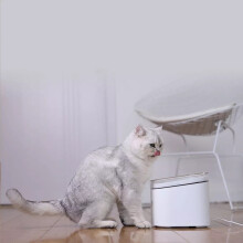 WIFI Smart Automatische Haustier-Wasserquelle für Hund Katze Gesund 4-Filter Heizung Sterilisation Verbindung mit Telefon Mijia APP von Xiaomi Yo
