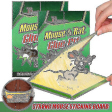 10x Special Offers Mouse Traps Rat Mice Mouse Trap Snare Catcher Board Pad