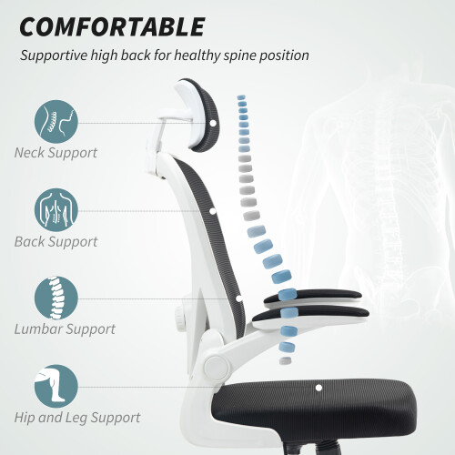 Homcom HOMCOM Ergonomic Mesh Office Chair with Headrest, Lumbar Support, Black 2