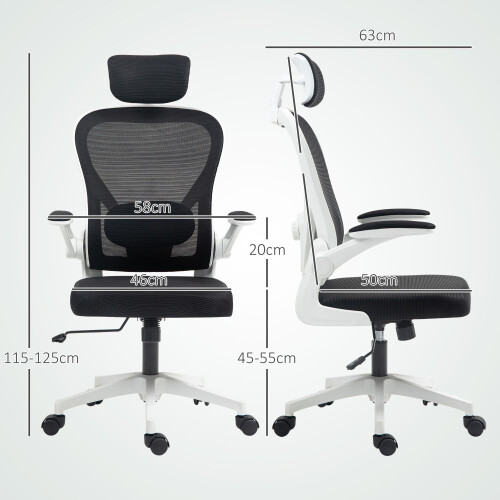 Homcom HOMCOM Ergonomic Mesh Office Chair with Headrest, Lumbar Support, Black 1