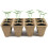 Seedling Trays Seed Trays Biodegradable Seedling Pots 2