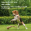 Beaphar Beaphar Flexifit Dog Chews Advanced Joint Supplement 8