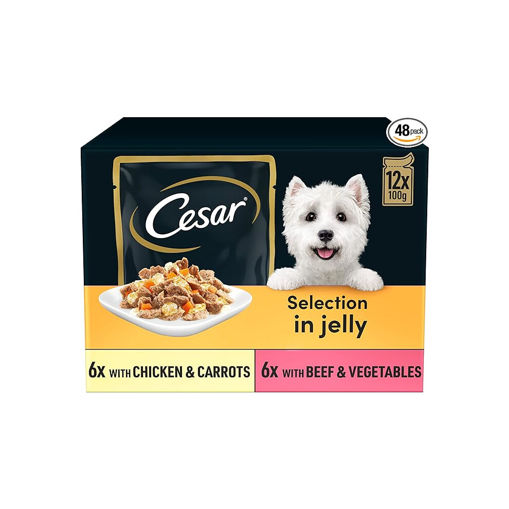 CESAR Pouch Selection In Jelly, Fresh Adult Wet Dog Food Pouches In Delicious Jelly With Succulent Meats And Vegetables, 48 X 100 G