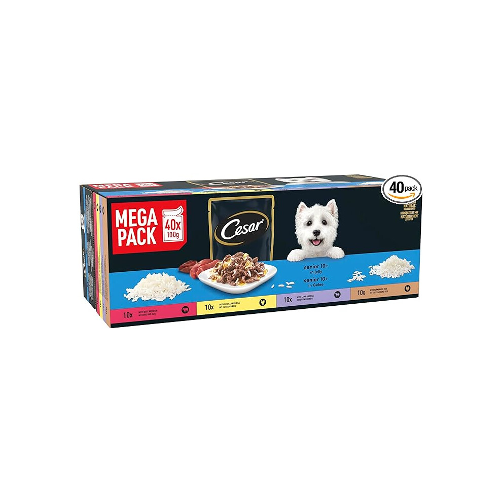 CESAR Senior Dog Pouches Sauce Selection in Jelly 40x100g