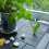 (Black) 11 x Composite Interlocking Floor Decking Tiles 5