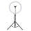 1 Set Flash LED Fill Light Desktop Live Removable Tripod Stand Phone Clip Holder 1