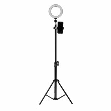 16cm LED Ring Light 5500K Dimmable with 160cm Stand | USB-Powered Phone Holder for YouTube, Makeup, Live Streaming