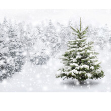 Christmas Snow Scene Photo Backdrop - 4.1x2.6 ft or 7x5 ft, 3D Printed Vinyl, Waterproof, Reusable Studio Background