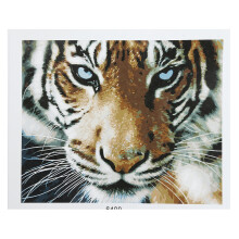DIY Oil Painting Paint By Numbers Tiger Drawing On Canvas Home Office Decoration 40*50cm