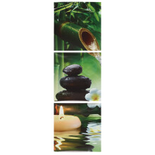 3Pcs Canvas Print Paintings Wall Decorative Print Art Pictures Framed Frameless Wall Hanging Decorations for Home Office