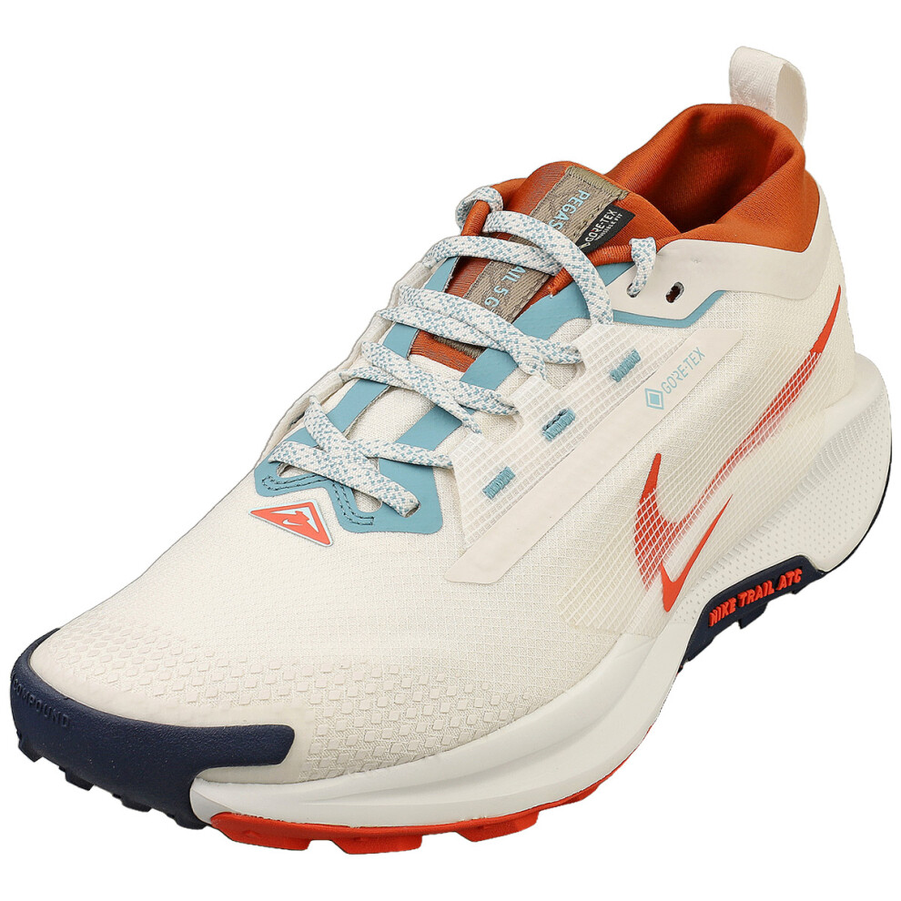 (11.5) Nike Pegasus Trail 5 Gore-tex Mens Fashion Trainers in Phantom