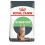 Royal Canin Royal Canin Digestive Care Cat Kibble 1