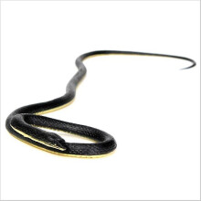 Realistic Rubber Snakes Scary Gag Gift Funny Prank Joke Toy Snake for Kid Child