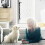 2 Pack Dog Doorbell Adjustable Training Door Bell 3
