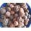 Whole Country Onion/Rondelles 6