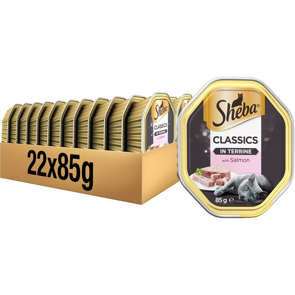 Sheba Classics Cat Food Trays Salmon in Terrine, 85 g (Pack of 22)