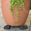 Plant Flower Pot Feet Risers Holders Stand Decor 3pcs/set 5