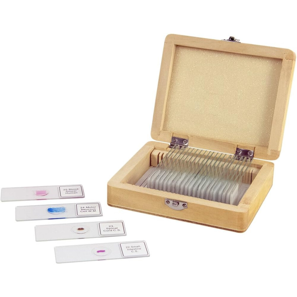 Celestron 44410 Prepared Microscope Slides, Pack of 25