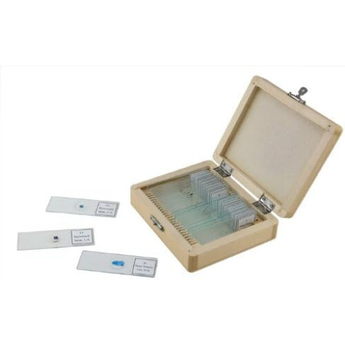 Celestron Celestron 44410 Prepared Microscope Slides, Pack of 25 1