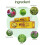 15g Herbal Eczema & Psoriasis Relief Ointment 4