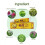 15g Herbal Eczema & Psoriasis Relief Ointment 6