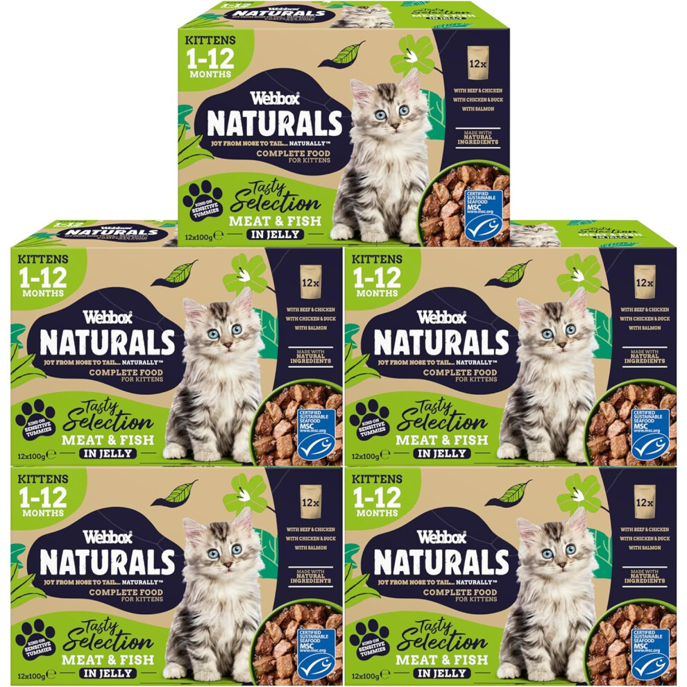 Webbox Naturals Complete Kitten (1-12 Months) Wet Cat Food, 60 X Meat & Fish In Jelly Variety Pack