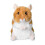 Douglas Douglas Brushy Hamster ???t???? Ge  ?s  ??? ??? 1